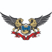 باران الماس صحرا