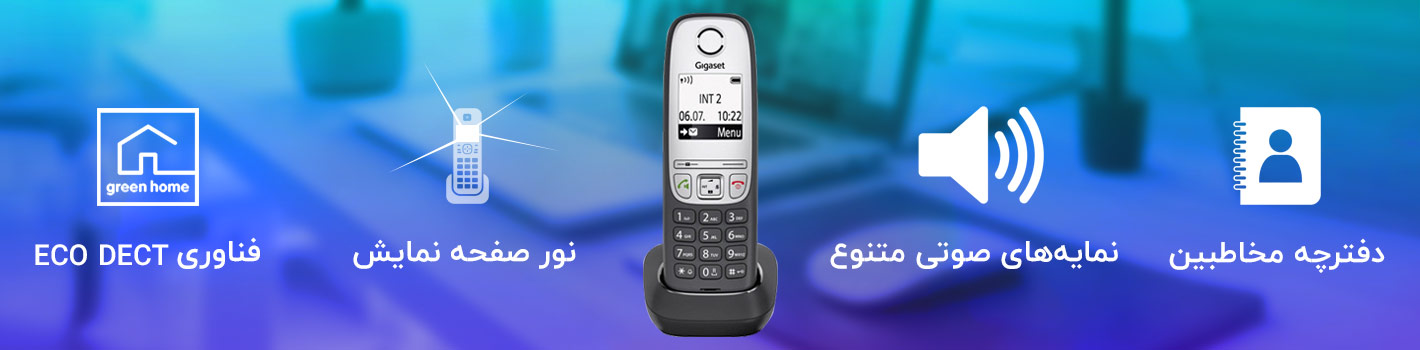 تنوع انتخاب